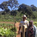 Ana Maria and Sebastião, an example of family economy