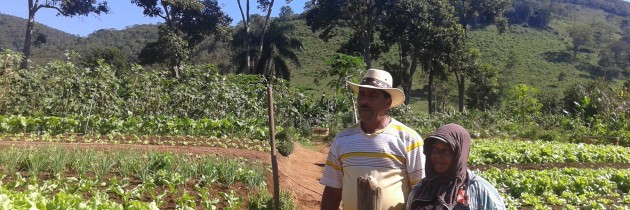 Ana Maria and Sebastião, an example of family economy