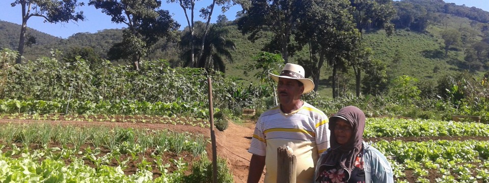 Ana Maria and Sebastião, an example of family economy